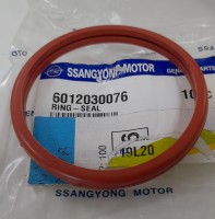 Прокладка термостата 600/D20/27DT (резиновое кольцо)